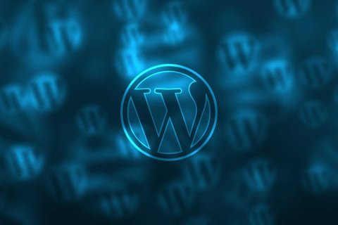 WordPress 6.1 引入“Update URI”主题标头，可自定义主题更